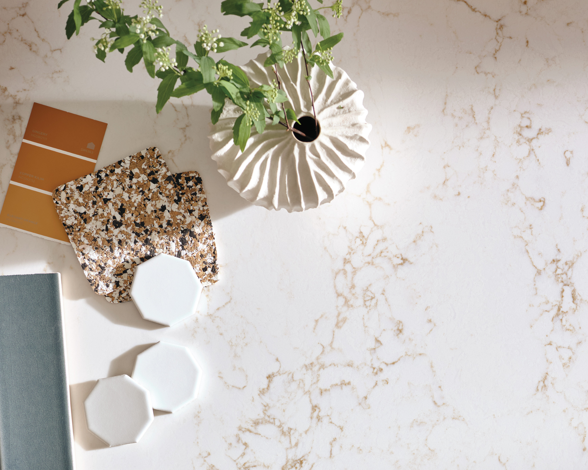 Natural stone surface decorated with coasters and a small plant.
